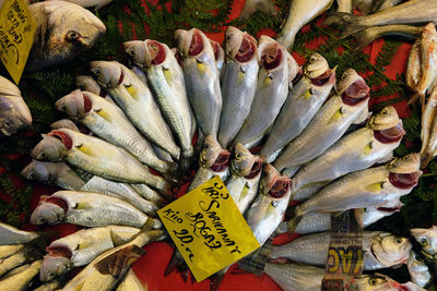 High angle view of fish for sale in market