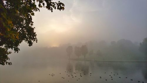 Scenic view of lake against sky during foggy weather