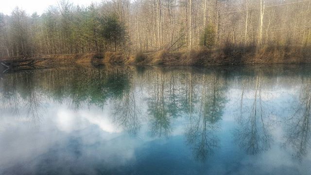 reflection, water, lake, tranquility, tranquil scene, tree, scenics, beauty in nature, standing water, nature, waterfront, sky, calm, idyllic, non-urban scene, growth, forest, outdoors, river, lakeshore