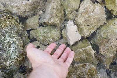 Cropped hand of person by rocks in sea