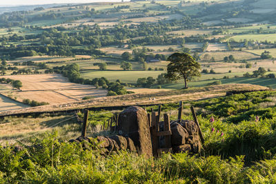 Scenic view of agricultural field