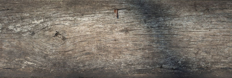 High angle view of a wood