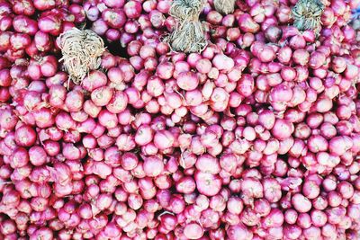 Full frame shot of pink for sale at market