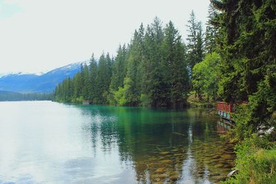 Scenic view of lake