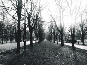 Footpath amidst trees in park