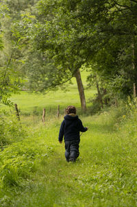 Junge im natur.... boy in nature...