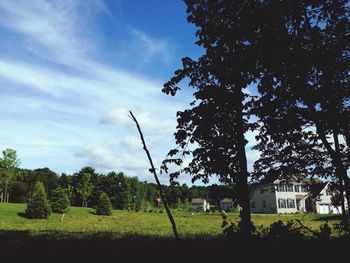 Trees on grassy field against cloudy sky