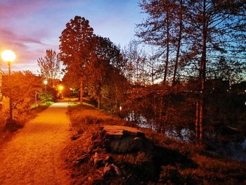 Street amidst trees against sky at sunset