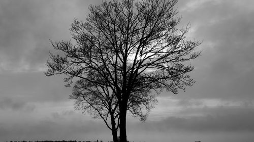 Silhouette bare tree against sky