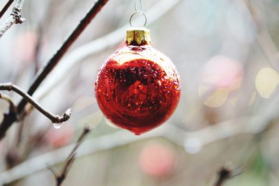 Close-up of christmas decoration hanging on tree