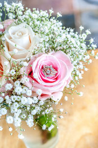 Close-up of pink rose