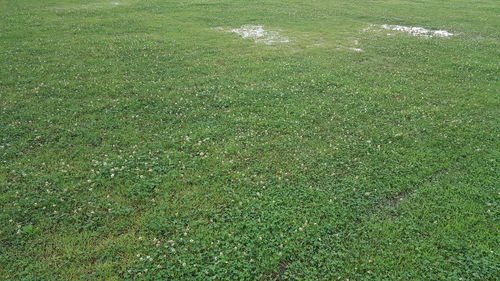 Full frame shot of field