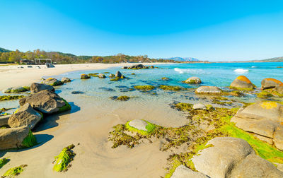 Scenic view of beach against clear sky