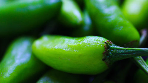 Close-up of green leaf