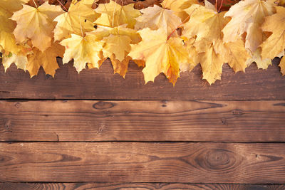 High angle view of maple leaves on wooden table