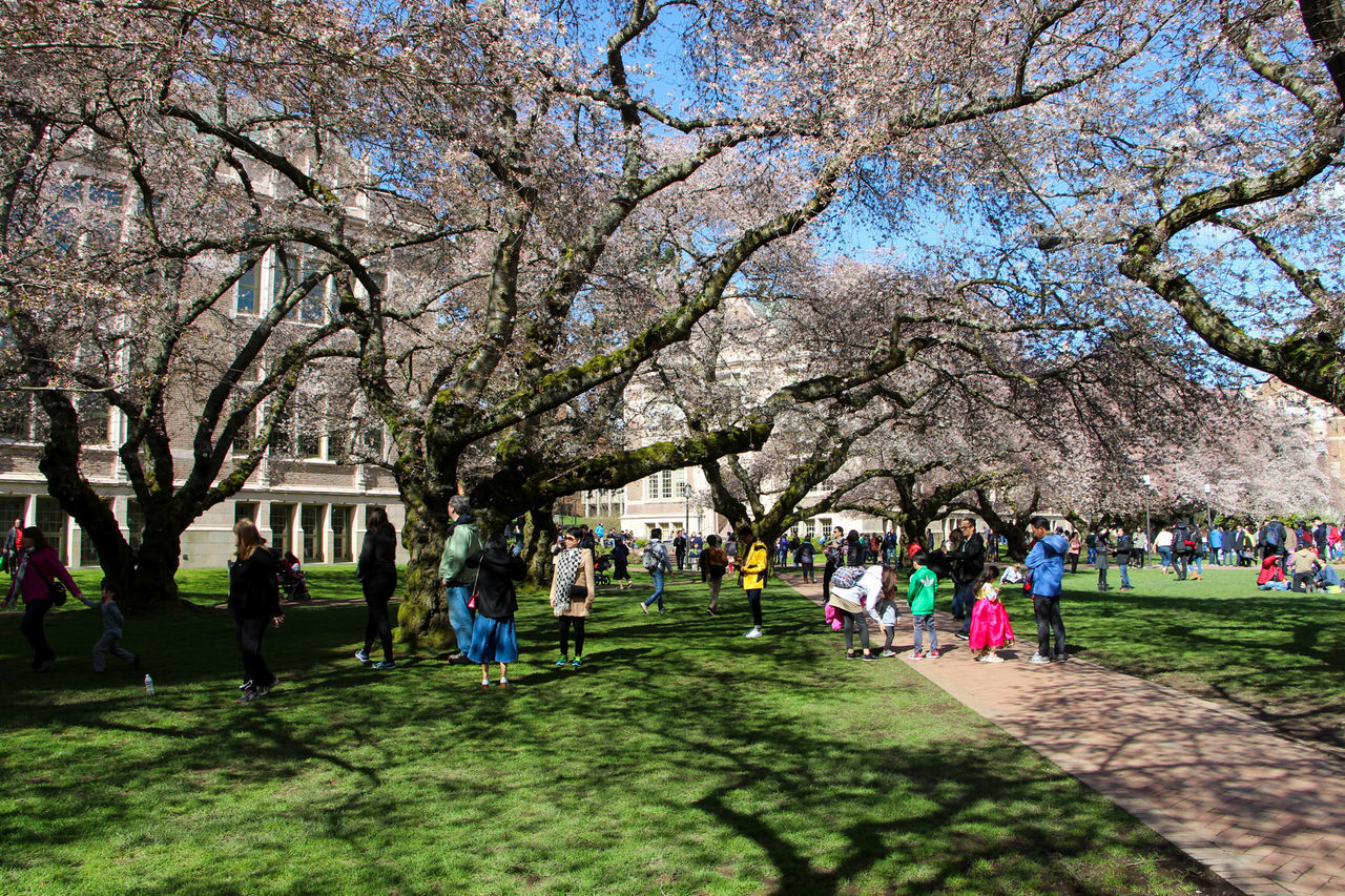 GROUP OF PEOPLE IN PARK AGAINST TREES AND PLANTS