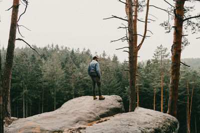 Rear view of man walking in forest