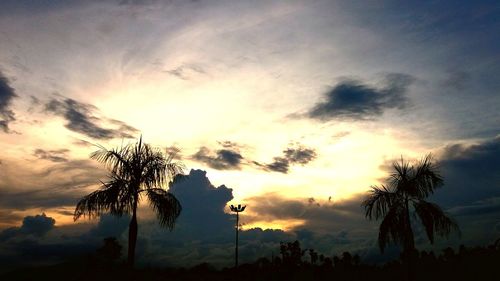 Silhouette trees against sky during sunset