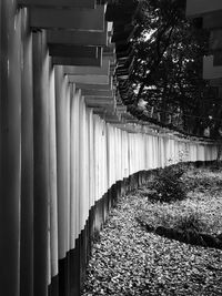 Empty footpath amidst buildings