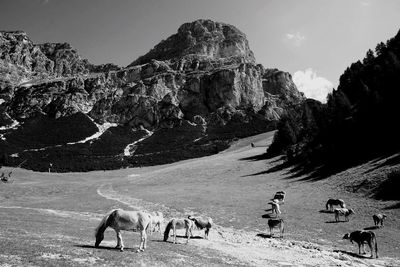 Man standing on rock in a desert