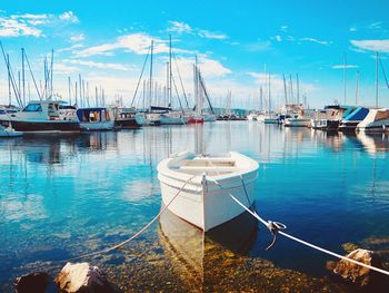 Sailboats moored in harbor