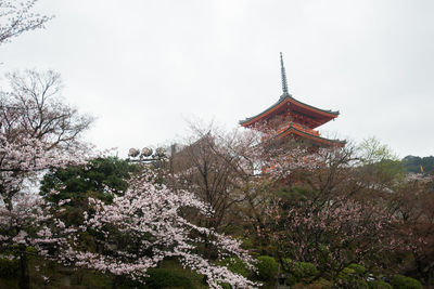 Low angle view of a temple