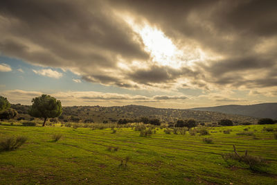 Scenic view of field against sky during sunset