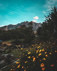 Scenic view of rocky mountains against sky