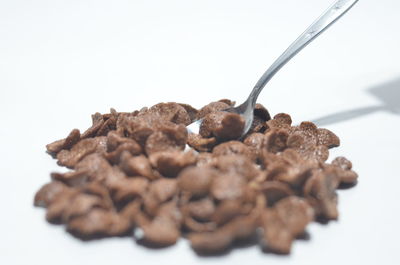 Close-up of chocolate cake against white background