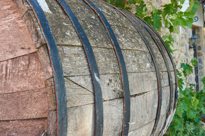 Close-up of corn on wood against wall