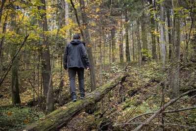 Rear view of man walking in forest