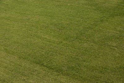 Full frame shot of soccer field