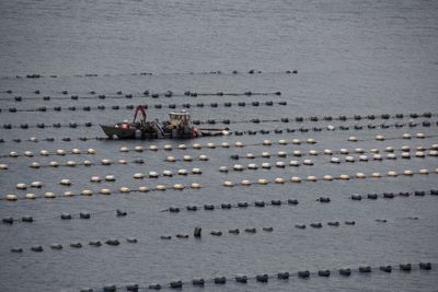 High angle view of boats in sea