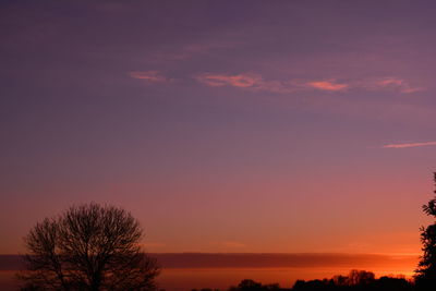 Low angle view of silhouette trees against sky during sunset