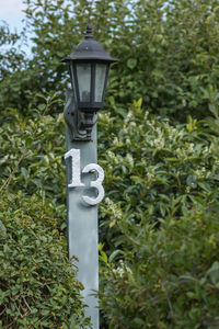 Close-up of electric light against trees