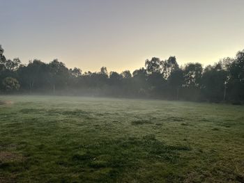 Scenic view of trees on field against sky