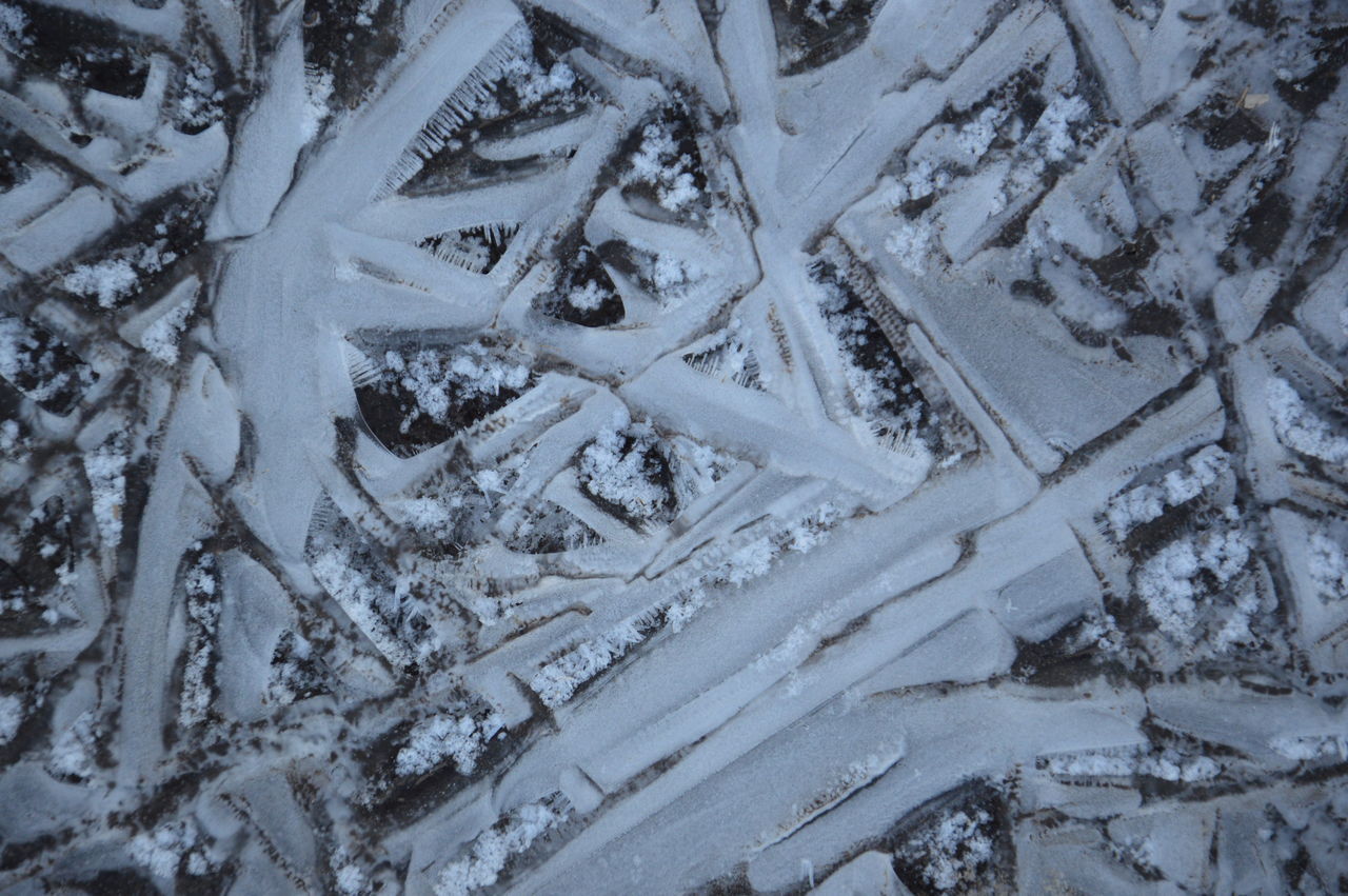 snow, winter, cold temperature, freezing, no people, frost, ice, full frame, backgrounds, nature, high angle view, frozen, day, branch, pattern, land, outdoors, monochrome, tree, black and white, close-up, plant, white, beauty in nature, field, tranquility