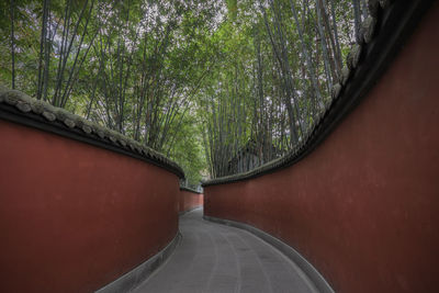 Empty road amidst trees in forest