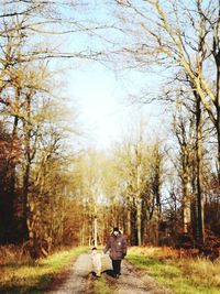 Rear view of man standing amidst trees in forest