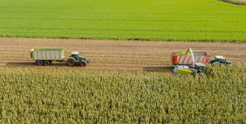 Scenic view of agricultural field