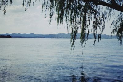 Scenic view of sea against sky during winter