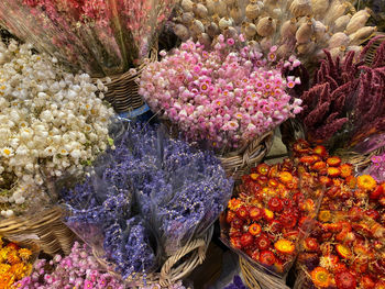 High angle view of flowering plants at market stall