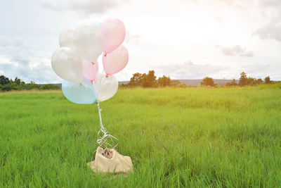 Balloons with bag on grassy field against sky