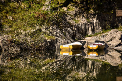 High angle view of drink on rock by trees
