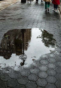 puddle