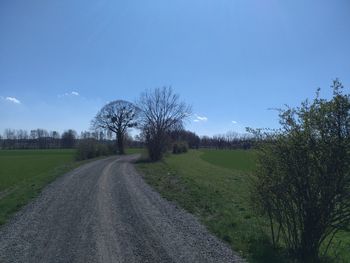 Road amidst trees on field against sky