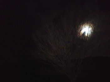 Close-up of illuminated moon