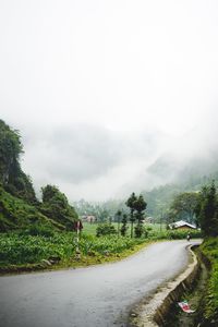 Road by trees against sky during rainy season