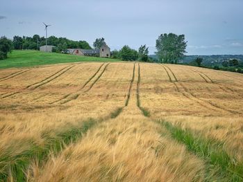 Scenic view of farm against sky