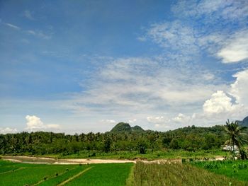 Scenic view of field against sky